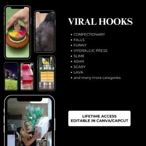 1000+ Viral Hook Videos Bundle — TikTok, Reels & Shorts Growth Pack | Full PLR + MRR Resell Rights | Instant MP4 Download